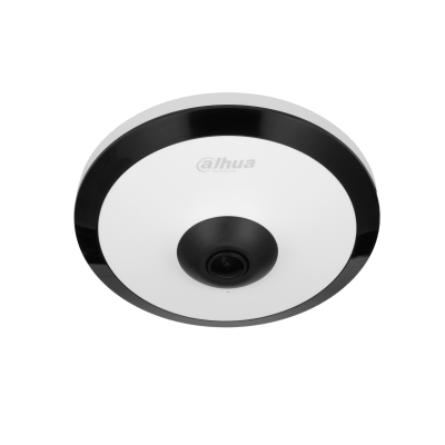 Cámara IP Fisheye Dahua® 5MP IP67 IK10 Mic WizMind - DH-IPC-EW5541N-AS