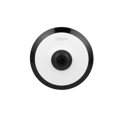 Cámara IP Fisheye Dahua® 5MP IP67 IK10 Mic WizMind - DH-IPC-EW5541N-AS