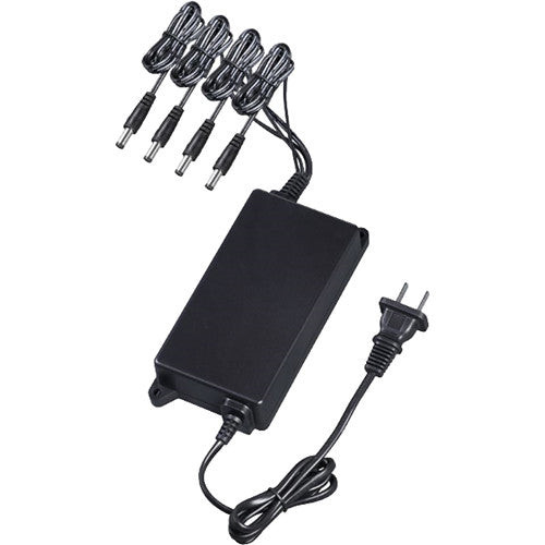Adaptador Fuente de Poder Dahua® 12V 2.8Amp 4 Salidas EVHA12120-070 - PFM322