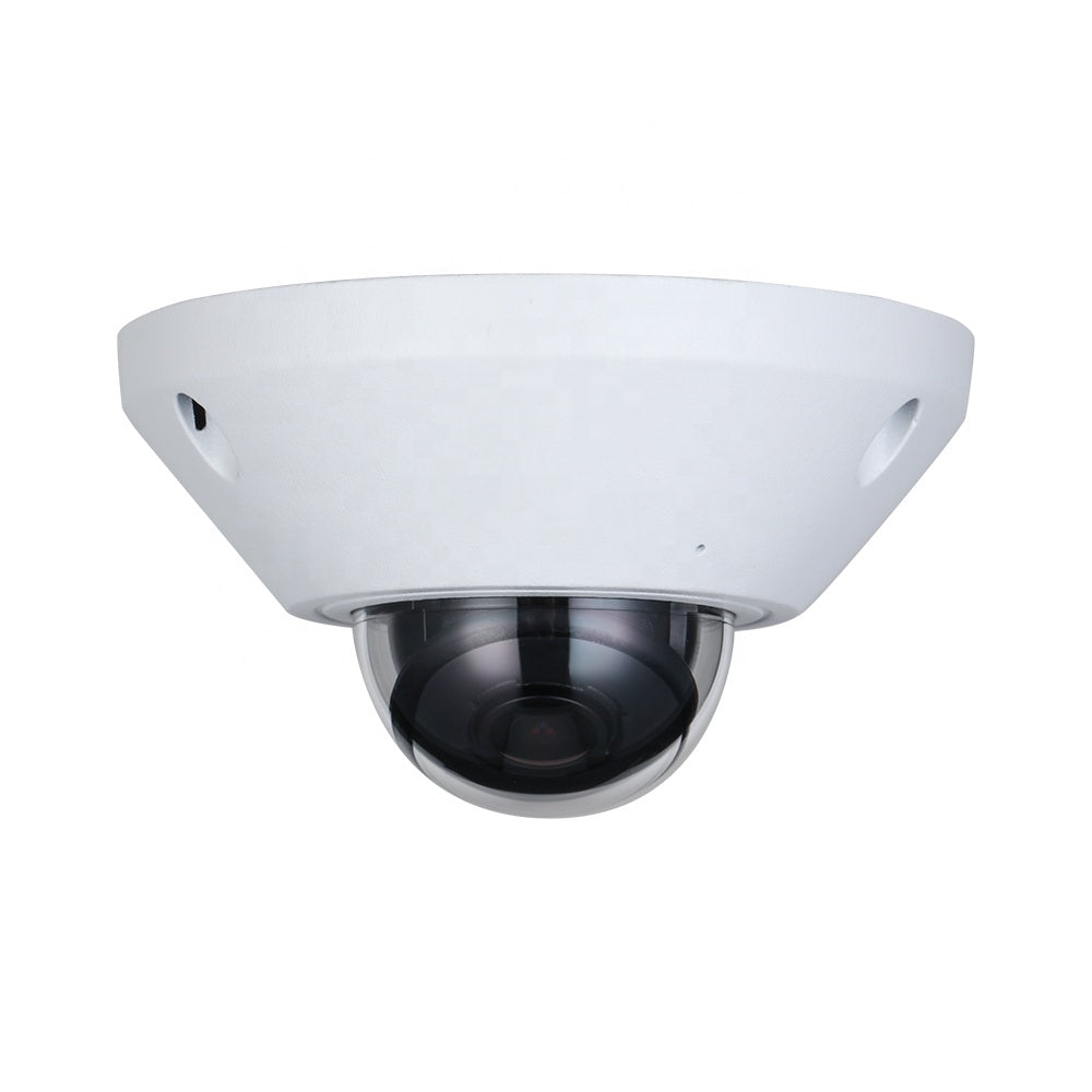 Cámara IP Fisheye Dahua® 5MP IP67 IK10 Mic WizMind  - DH-IPC-EB5541N-AS